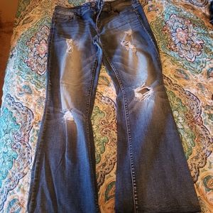 Maurices Bootcut Jeans